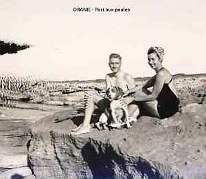 Oran- SDV- 5000- Port aux poules 1951